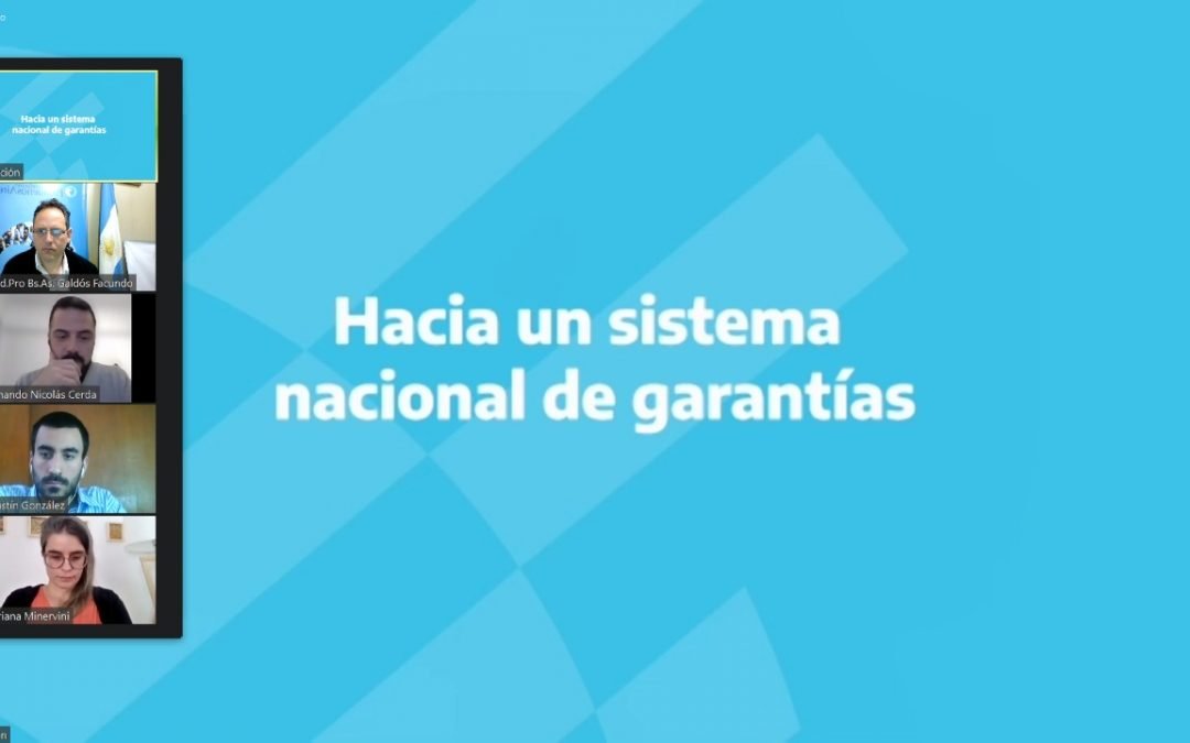 Consejo Consultivo de Garantías