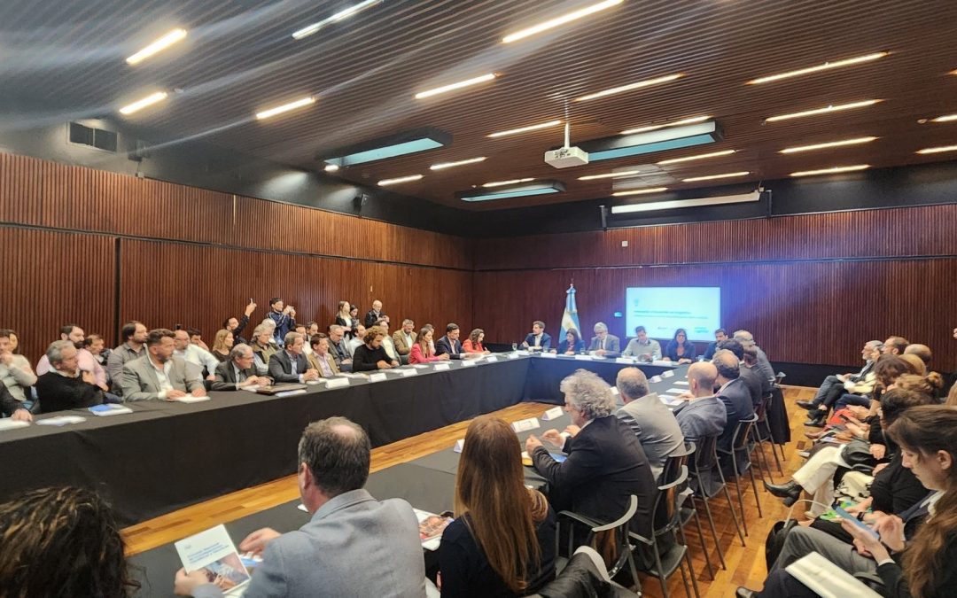 Innovacion y desarrollo en Argentina