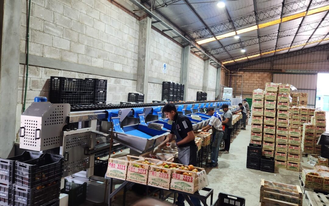 Un socio de FOCAVA logró vincularse con la Asociación Hortícola del Gran La Plata