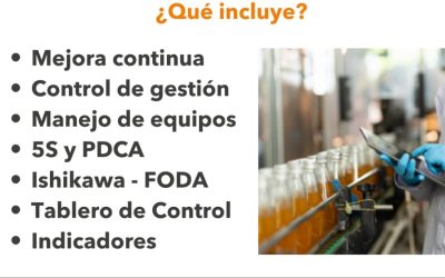 Cursos de Verano 2025
